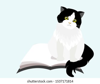 Adorable black and white tuxedo cat sitting on opened book. Isolated on light blue background with free copy space. Vector Illustration.