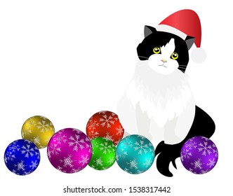 Adorable black and white tuxedo cat wearing Santa Claus 's red hat sitting on floor surrounded with 3D christmas balls . Isolated on white background with free copy space. Vector Illustration.