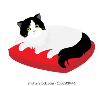 Adorable black and white tuxedo cat sleeping happily on red warm pillow . Isolated on white background. Vector Illustration.