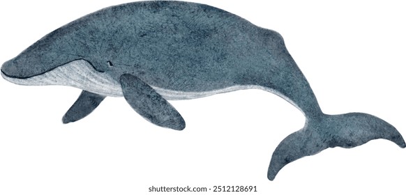 Adorable Blue Whale illustration in children's book style