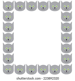 Adorable border with light grey kitten`s round head with big round green eyes, black nose and sharp ears
