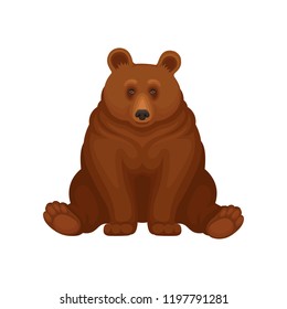 Adorable brown bear sitting isolated on white background. Large forest grizzly. Big mammal animal. Flat vector icon