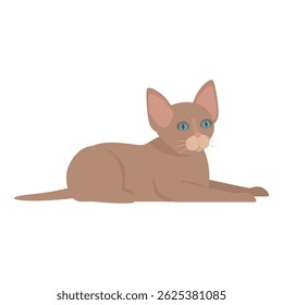 Adorable brown kitten with blue eyes lying down and looking curious