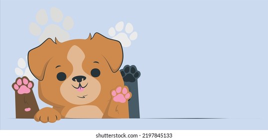 Adorable Brown And White Basenji Dog Smiling And Giving A High Five Isolated. Dog Raise A Paw Up. Golden Retriever Puppy Paw Isolated On Blue Background. Flat Lay Copy Space