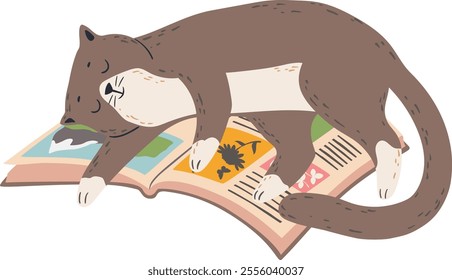 Adorable brown and white cat sleeping on top of an open book, resting after a long reading session, colorful illustrations visible on book pages