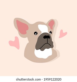 Adorable Bulldog with affectionate gaze. Animal illustration on pink background