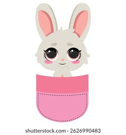 Adorable bunny in a pocket
