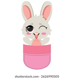 Adorable bunny in a pocket