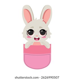 Adorable bunny in a pocket