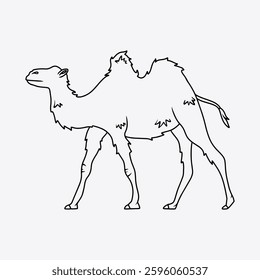 Adorable camel with two humps. Thin line illustration.