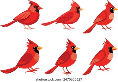 Adorable and captivating cardinal birds vector illustration. Perfect for nature designs, birdwatching enthusiasts, and wildlife art collections.