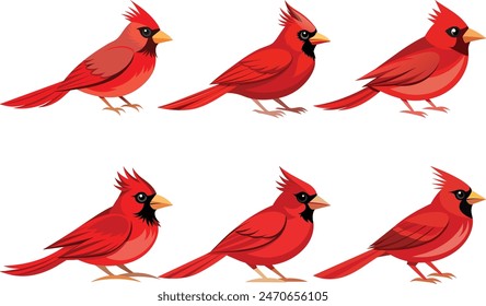 Adorable and captivating cardinal birds vector illustration. Perfect for nature designs, birdwatching enthusiasts, and wildlife art collections.