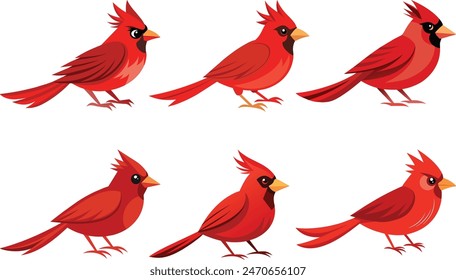 Adorable y cautivadora Ilustración vectorial de aves cardinales. Perfecto para diseños naturales, entusiastas de la observación de aves y colecciones de arte de la fauna.