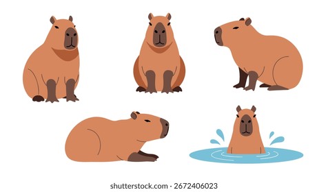Adorable capybara poses from different angles showing diverse behaviors for your projects