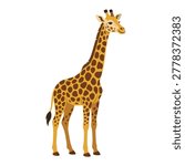 An adorable cartoon giraffe illustration featuring a clean, isolated vector design perfect for nursery decor and educational materials. This friendly wildlife character is ideal for children