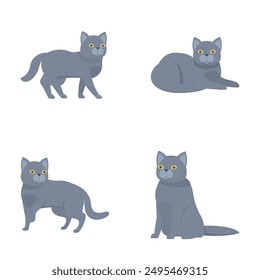 Adorable colección de gatos grises de dibujos animados con poses lindas y comportamiento juguetón. Perfecto para los amantes felinos y entusiastas de las mascotas. Conjunto de Ilustraciones vectoriales de animales domésticos