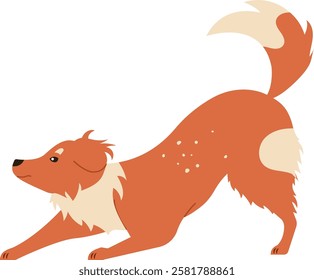 Adorable cartoon style illustration of a playful dog stretching with a bushy tail and fluffy fur, showcasing a lively and energetic pose. Ideal for pet themed designs and childrens materials