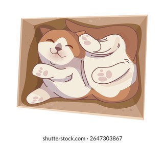 Adorable cartoon-style cat curled up and sleeping inside a cardboard box, shown from top view on white background. Concept of comfort and cuteness. Vector illustration