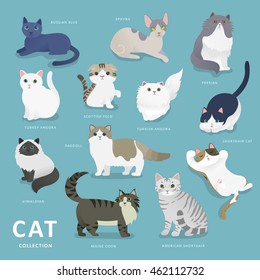 Adorable cat breeds collection in flat style