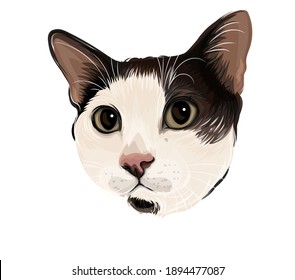 Arte vectorial de la cabeza de gato adorable
