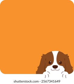 Adorable Cavalier King Charles Spaniel coming out of a square shape