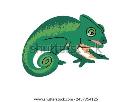 Adorable chameleon. Cute lizard with green camouflage skin. Funny reptile with curled tail. Reptilian animal. Rainforest fauna, jungle inhabitant. Flat isolated vector illustration on white background