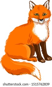 Adorable character sitting fox animal. Vector illustration