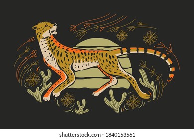 Adorable cheetah hunt with spinifex grass and cactus illustration Vector