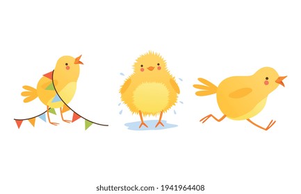 Adorable Chicken In Different Situations Set, Cute Funny Baby Bird Character Cartoon Vector Illustration