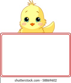 Adorable Chiken Looking Over A Blank Starry Sign