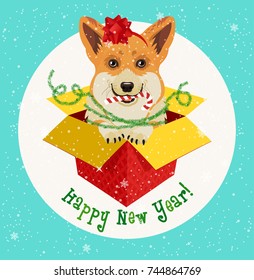 Adorable Corgi Dog in Christmas Gift Box. Vector EPS 10 illustration.