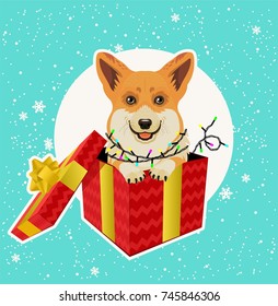 Adorable Corgi Dog in Christmas Gift Box. Vector EPS 10 illustration.