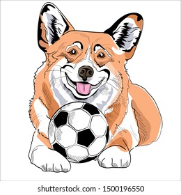 Adorable Corgi puppy with a soccer ball. Humor poster, t-shirt composition, hand drawn style print. Vector illustration.