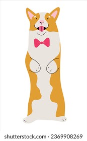 Adorable cachorro de corgi parado en las patas traseras con corbata de arco. Ilustración vectorial aislada en diseño plano