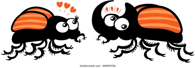 Adorable couple of stripped rhinoceros beetles showing a female completely in love while staring at the horn of the male. The male looks completely surprised and embarrassed