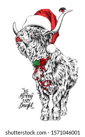 Adorable Cow with a bang (Scottish Highland cattle) in a red Santa's hat,  with a bells and bird. Christmas and New year card, Humor composition, hand drawn style print. Vector illustration.