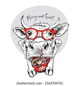 Adorable Cow in a red glasses, and with a cup of coffee in a hooves. Merry and sweet - lettering quote. Christmas and New year card, Humor composition, hand drawn style print. Vector illustration.