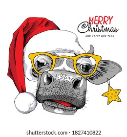 Adorable Cow in the red Santa's hat, in the glasses and with a star. Merry Christmas and New year card, Humor composition, hand drawn style print. Vector illustration.