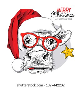 Adorable Cow in the red Santa's hat, in the glasses and with a star. Merry Christmas and New year card, Humor composition, hand drawn style print. Vector illustration.