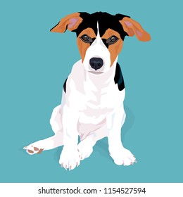 Adorable cute jack russell terrier dog sitting with shadow on blue background, vector illustration.