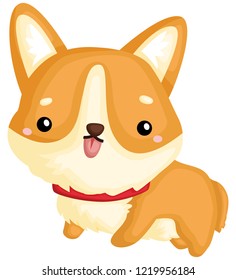 an adorable and cute pure breed corgi an adorable and cute pure breed corgi