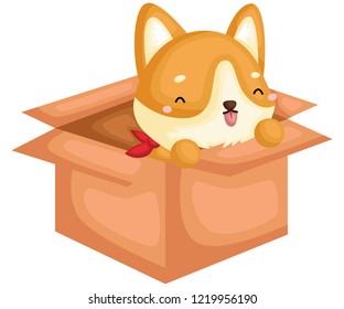 an adorable and cute pure breed corgi an adorable and cute pure breed corgi