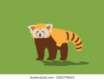  Adorable cute red panda cartoon character, flat vector illustration isolated on background. Chinese or Himalayan red panda.