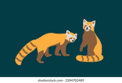  Adorable cute red panda cartoon character, flat vector illustration isolated on background. Chinese or Himalayan red panda. Cute adorable red panda design animal flat vector style illustration.