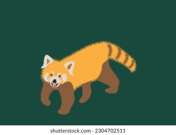  Adorable cute red panda cartoon character, flat vector illustration isolated on background. Chinese or Himalayan red panda. Cute adorable red panda design animal flat vector style illustration.