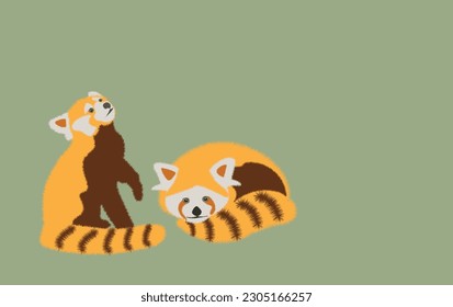  Adorable cute red panda cartoon character, flat vector illustration isolated on background. Chinese or Himalayan red panda.