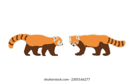  Adorable cute red panda cartoon character, flat vector illustration isolated on background. Chinese or Himalayan red panda.