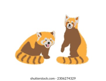  Adorable cute red panda cartoon character, flat vector illustration isolated on background. Chinese or Himalayan red panda. Cute adorable red panda design animal flat vector style illustration.