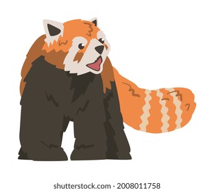 Adorable Cute Red Panda Wild Animal Cartoon Vector Illustration