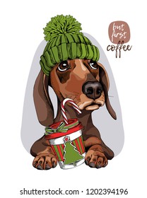 Adorable Dachshund dog in a green knitted hat and with a plastic cup. But first coffee - lettering quote. New Year and Christmas card, t-shirt composition, handmade vector illustration.